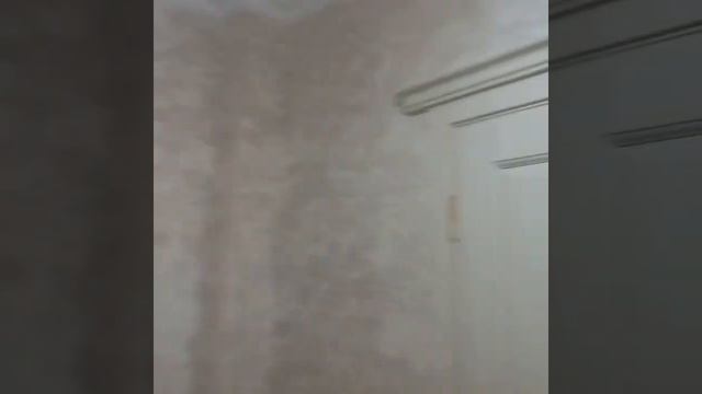 Квартира Гоголя смотреть онлайн
