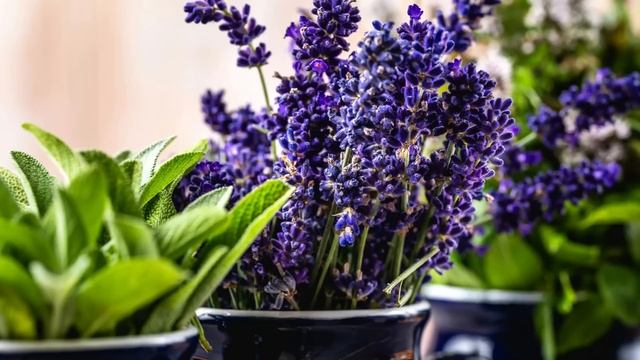 Вера вошла в квартиру и обомлела. Она услышала разговор матери по телефону. То, что она узнала, её. смотреть онлайн