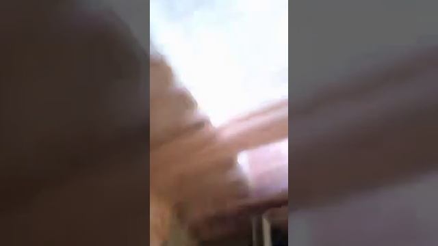 Выбери правильный путь пол это Лава Челлендж смотреть онлайн