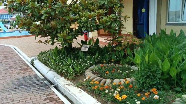 санаторий "Горный воздух" Лоо обзор 2024 года. июнь смотреть онлайн