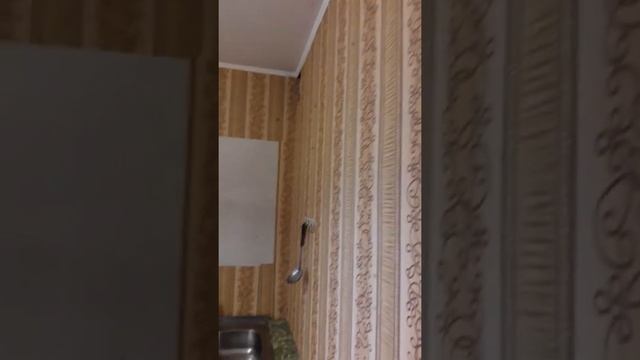 Радунская 7, 1к.квартира 43 м.кв. смотреть онлайн