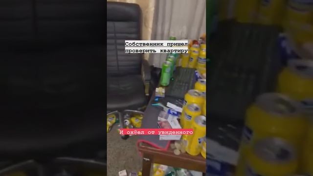 Собственник пришел проверить квартиру смотреть онлайн