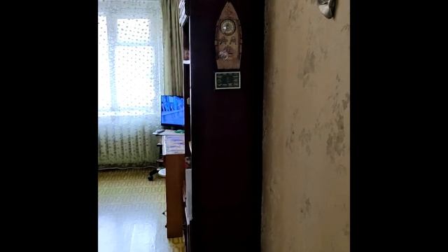 3 комнатная квартира на Ингодинская 37 смотреть онлайн