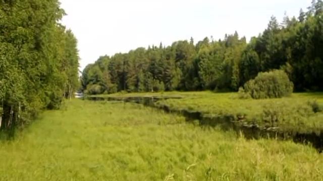 Как повысить харизму? смотреть онлайн