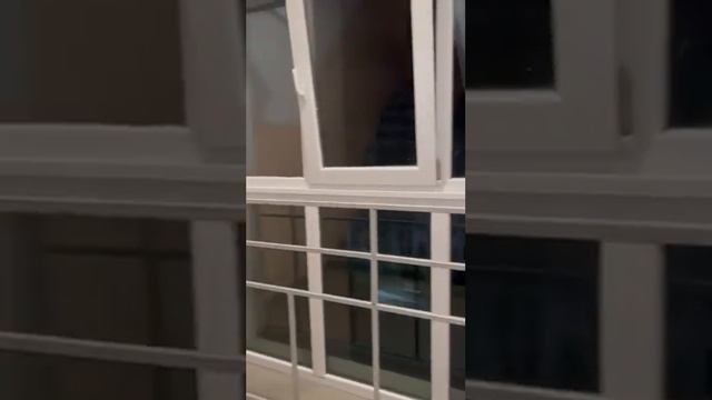 Авито проверка смотреть онлайн