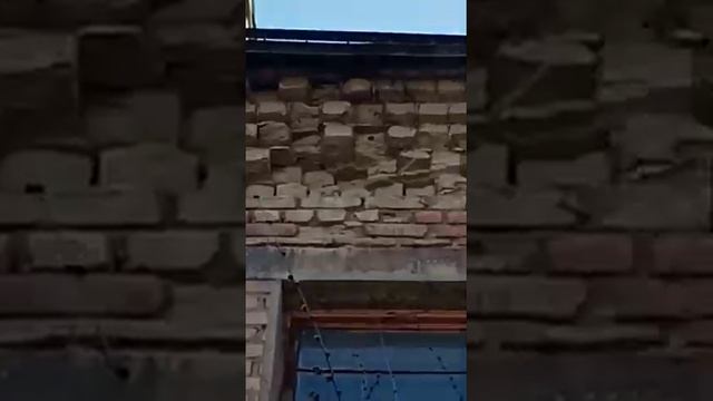 "Комфортный дом" вместо выполнения своих обязанностей призвала жильцов убрать чужой двор смотреть онлайн