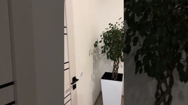 АК Южная столица - апартамент 415 смотреть онлайн