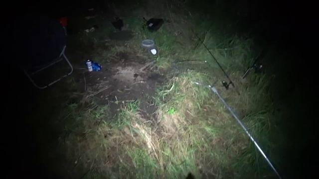 НАШËЛ САЗАНЬЮ ТРОПУ! А ОНИ РВУТ ЛЕСКИ и ПРУТ КАК ТОРПЕДЫ! ПОПАЛ на ЖОР САЗАНА НОЧЬЮ!!! Рыбалка 2023 смотреть онлайн