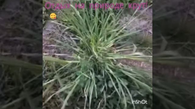 Весна на дворе! Мини клип. SMAMIMA LIVE.ходим по городу и снимаем. смотреть онлайн