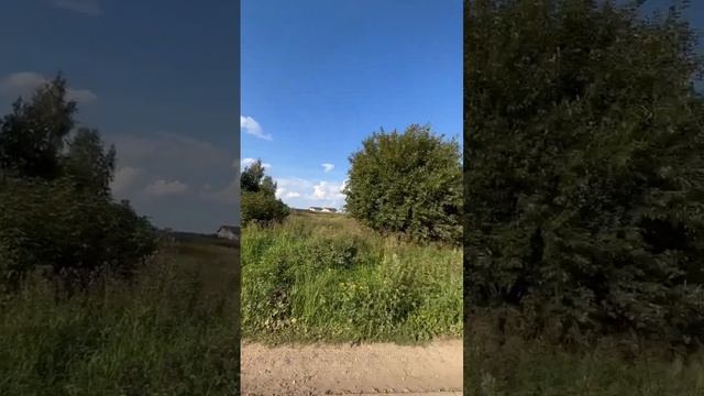 Владимирская обл._Александровский р-н_Большое Каринское смотреть онлайн