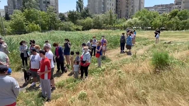 საპროტესტო აქცია დიდ დიღომში смотреть онлайн