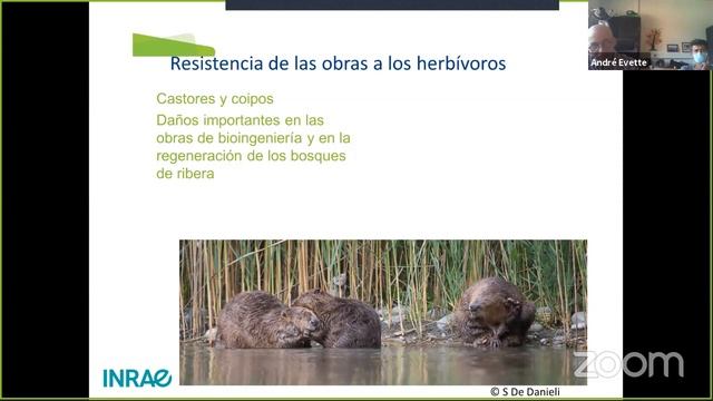 "Bioingeniería para la Protección de Riberas" смотреть онлайн