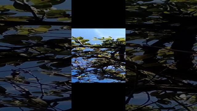 20241027_122132.mp4 смотреть онлайн