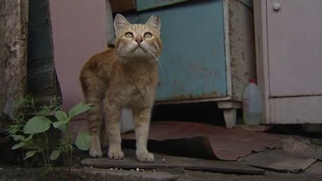 Многодетная без дома смотреть онлайн