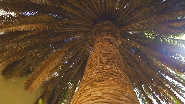 Новинка!!! АК Монтевиль🌴 Недвижимость Сочи 🌞 смотреть онлайн