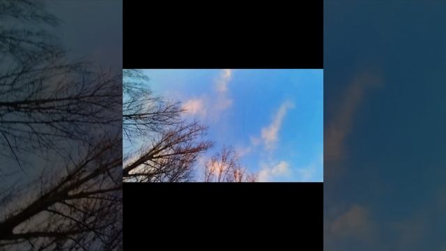 Привязанность, созависимость в отношениях смотреть онлайн