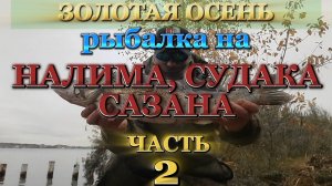 РЫБАЛКА НА СУДАКА, САЗАНА и НАЛИМА. !