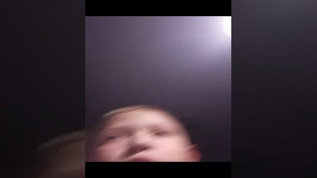 как ухаживать за хомячком?🤔