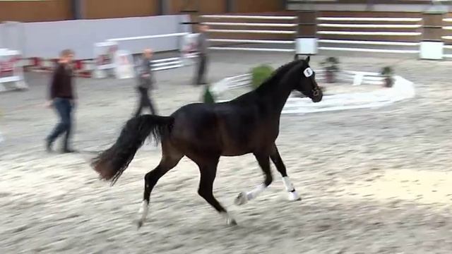 Castino x Cyrano x Cento смотреть онлайн