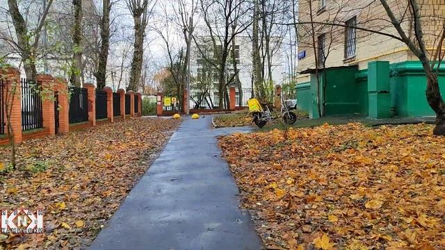 071123/Дневной стационар и Каминоки: лечение от депрессии (успешно)\9779 смотреть онлайн