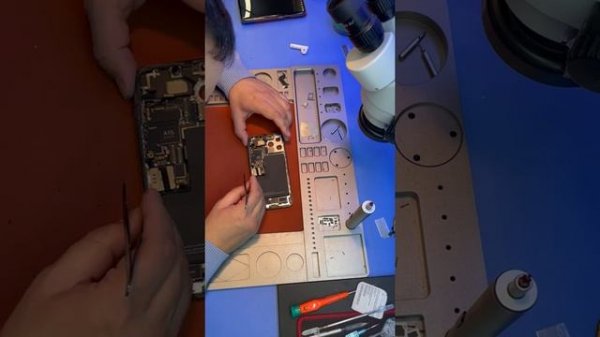 iPhone 13 pro разбор