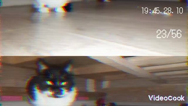 19:46.28.10 смотреть онлайн