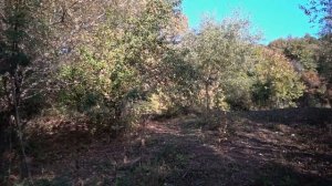 Обзор гостевого дома Четыре Сезона в Мезмае.