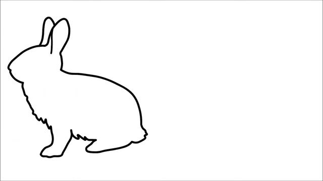 Animal Testing Animal Research For Kids Explainer Video