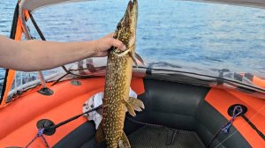 Рыбалка на Выгозере. #беломоробалтийскийканал