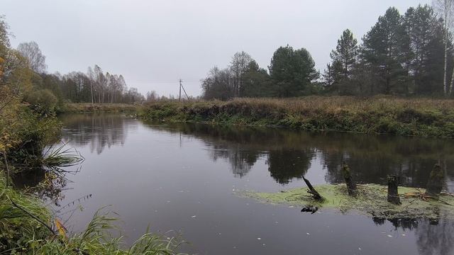 Река Уводь. ч.1. Октябрь 2024 смотреть онлайн