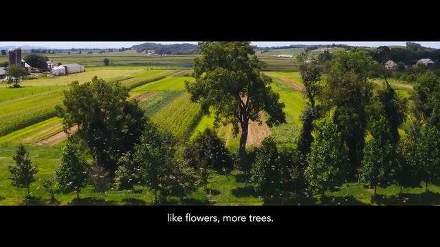 We the Children смотреть онлайн