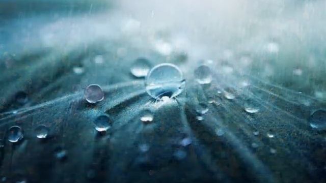 Lorena смотреть онлайн