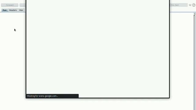 how to run burpsuite |Get and install SSL certificate of burpsuite|add and setup foxy proxy смотреть онлайн