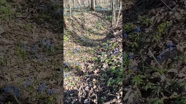 Люблю находить топоры #shorts