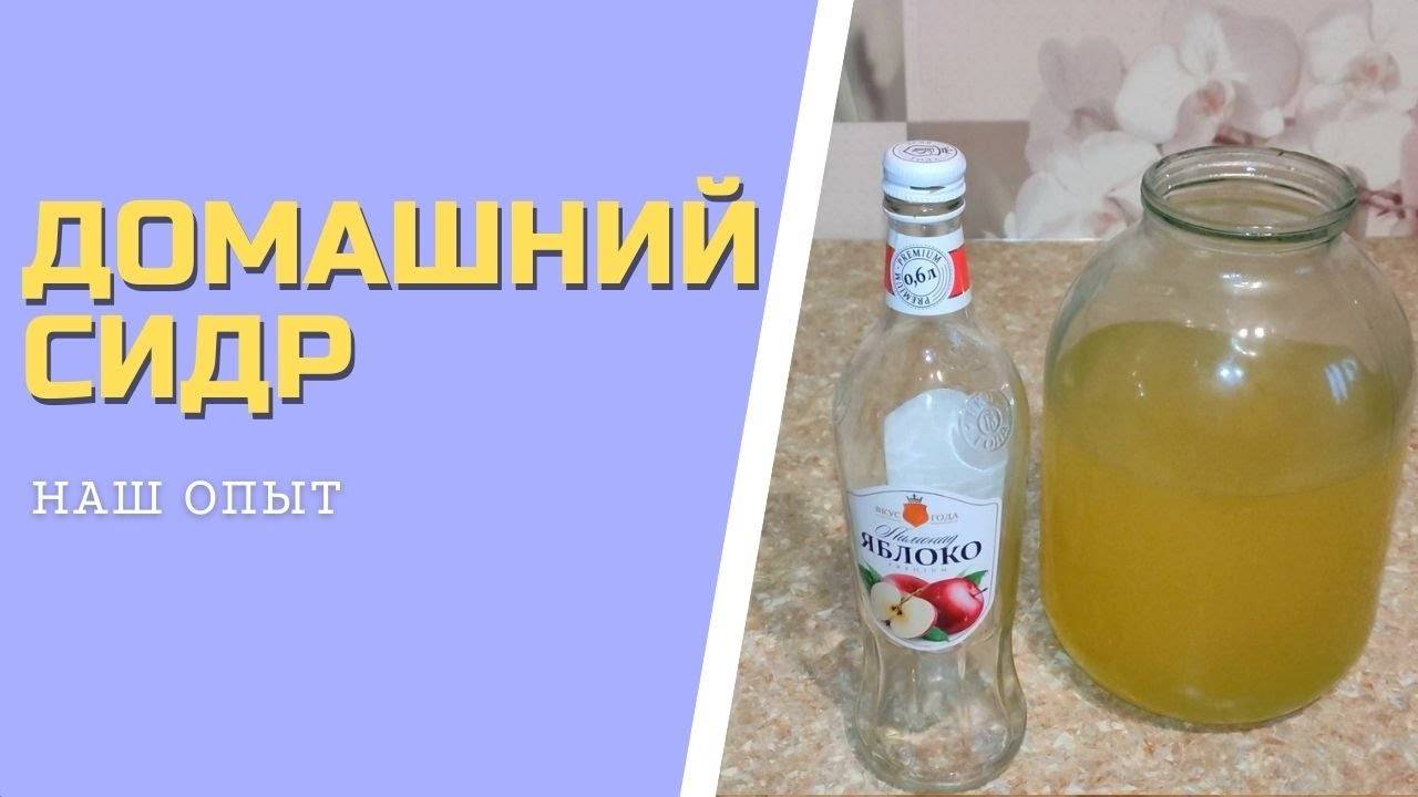 ДОМАШНИЙ СИДР из яблок простой рецепт смотреть онлайн