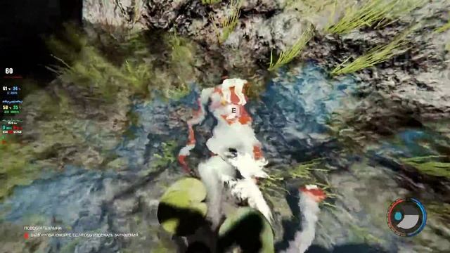 The Forest v.1 смотреть онлайн