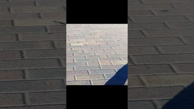 Шедевров кафе😋