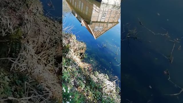 Любовь это бесценный дар ЛЮБИТЕ смотреть онлайн
