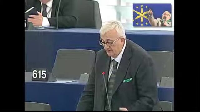 Borghezio: "L'Ue Finanzia anche la Mafia, soldi a Gaetano Riina fratello di Totò" смотреть онлайн