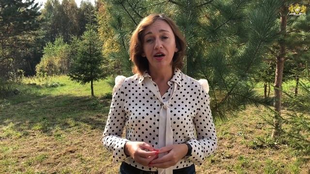 Жанна Завьялова об архетипах и их пользе владельцам бизнеса. Ведет Елена Грабарь смотреть онлайн