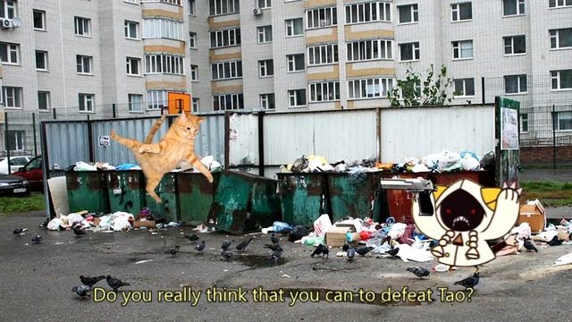 Don't give Whiskas to your cat смотреть онлайн