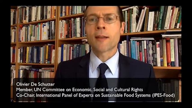A systemic critique of the current development paradigm- a statement from Olivier de Schutter смотреть онлайн