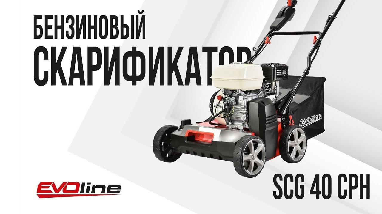 Вертикуттер (скарификатор) EVOline SCG 40 CPH смотреть онлайн