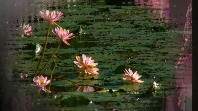 Людочке к Дню рождения