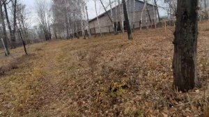 Рубцовск.Прогулка по улицам города №28😊