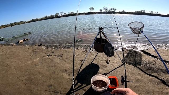 Кубань, шамайка и рыбец клюют одна за одной. 27.10.24. смотреть онлайн