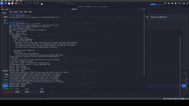 Kali - Vulnerability Analysis - legion, nmap, spike, nc, wireshark смотреть онлайн