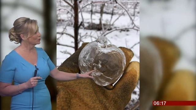 Weather Events 2019 - Ghost apple (fun fact of the day) (UK/(USA)) - BBC News - 13th February 2019 смотреть онлайн