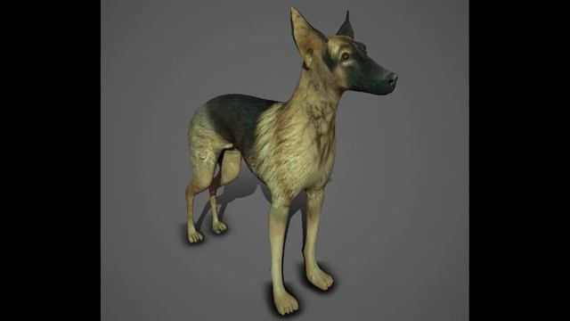 Greyhound dog 3d model team3dyard.com |Animal, Bird & Insect 3D Models Store | VFX |Link In Comment смотреть онлайн