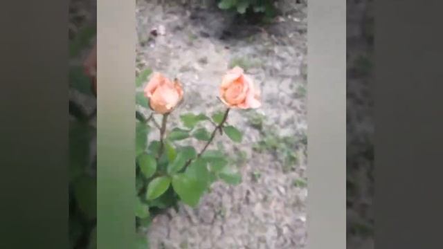 Вдохновение смотреть онлайн